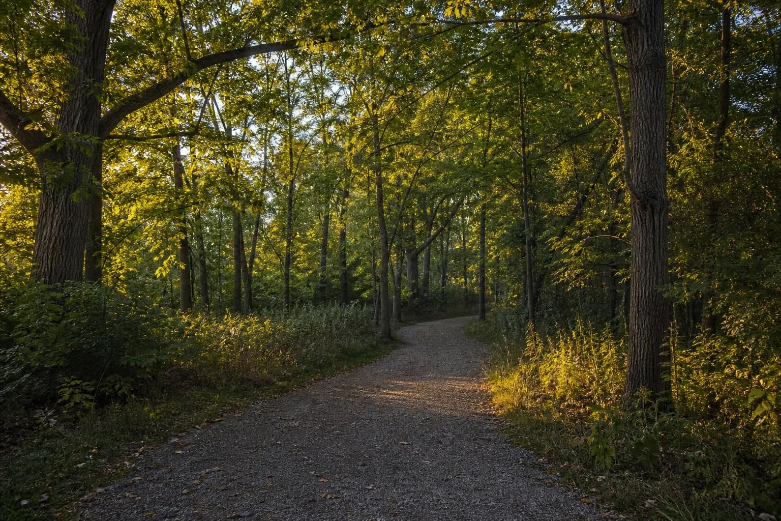 Preserve North Oakville woodland trail near Dundas Street West and Sixth Line in North Oakville