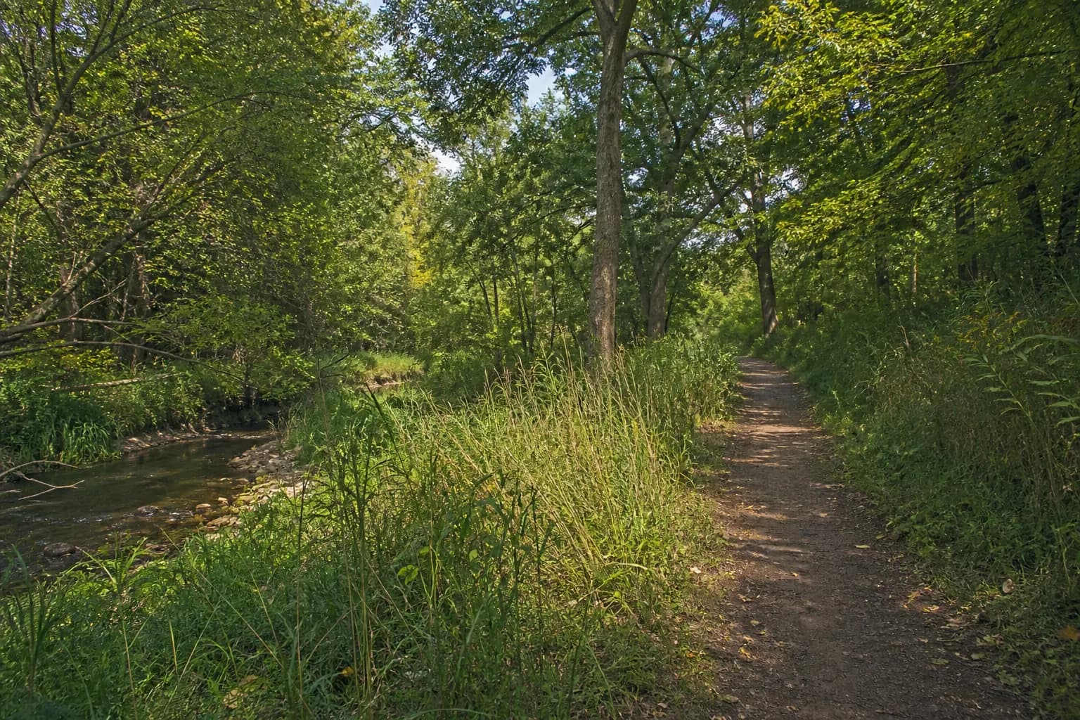 Preserve North renderings placeholder — Natural Heritage System trail in North Oakville